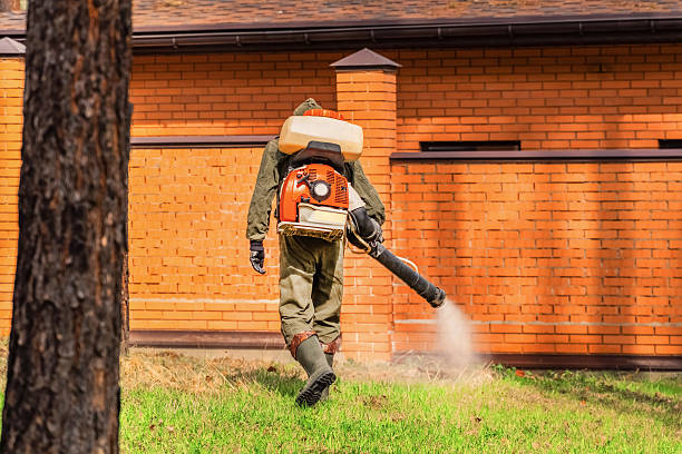 Trusted Fumigation Services service in East Mountain, TX - Nex Pest Control